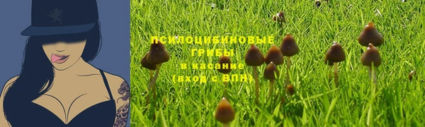 СК Абдулино