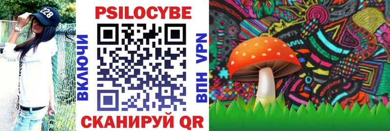 Галлюциногенные грибы Psilocybe  площадка формула  Заволжье  купить закладку 
